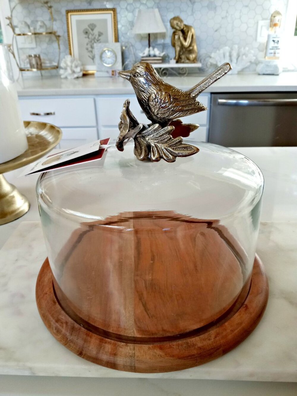 NEW! EXQUISITE WOOD & GLASS BIRD FLOWER CHEESE DOME
